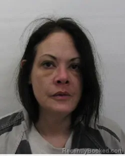 Mugshot of Amanda N McClellan