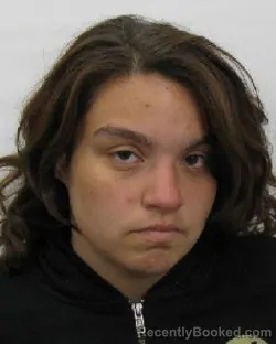 Mugshot of Samantha J Lugo booked in Chautauqua County, New York on July 4, 2026
