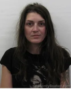Mugshot of Brea A Wilkins Carlson