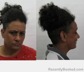 Mugshot of Jessica Diaz Hernandez booked in Chautauqua County, New York on September 2, 2026