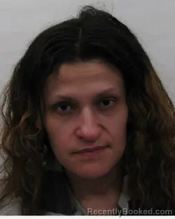 Mugshot of Arlene Yvette Rivera booked in Chautauqua County, New York on May 15, 2026