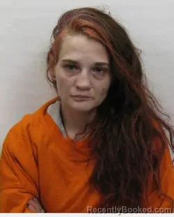 Mugshot of Alijah L Ernewein