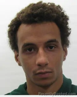 Mugshot of Demetrie D Williams