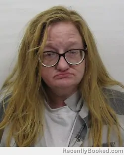 Mugshot of Deana E Jimerson