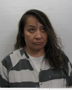 Mugshot of Amanda H John