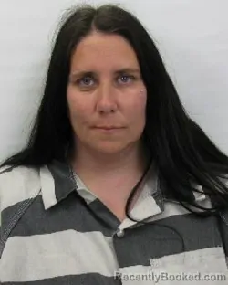 Mugshot of Nicole L Merecki booked in Chautauqua County, New York on April 20, 2026