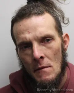 Mugshot of MICHAEL L LYON