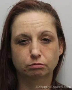 Mugshot of MELISSA M COWL booked in Chemung County, New York on April 28, 2026