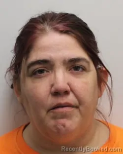 Mugshot of LISA MAE LITTLE