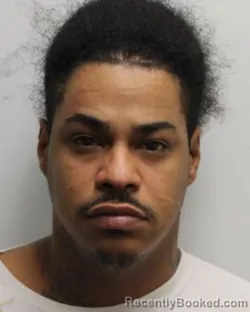 Mugshot of FRANCISCO J MAYSONET