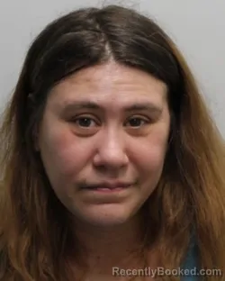 Mugshot of HANNAH MARIE ABBEY booked in Chemung County, New York on April 3, 2026