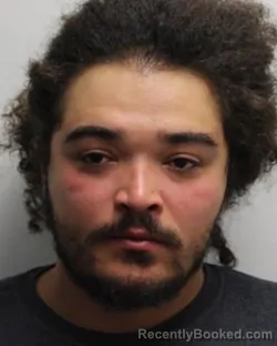 Mugshot of JEREMY WILSON