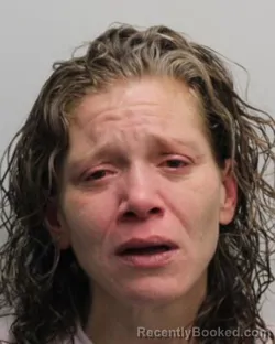 Booking photo from Chemung County, New York