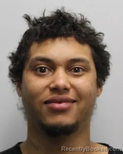 Mugshot of TYJAI ALLEN VANSICKLE