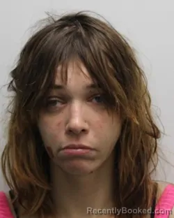 Mugshot of NICHOLE C WARLIKOWSKI booked in Chemung County, New York on July 7, 2026