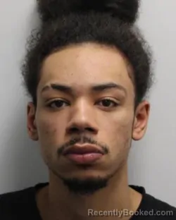 Booking photo from Chemung County, New York