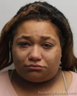 Mugshot of VICTORIA G ELLISON