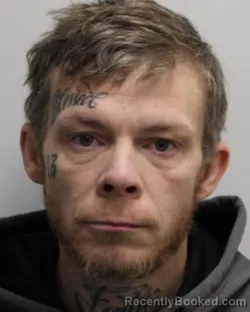 Mugshot of BLANE M HURLER
