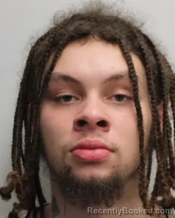 Mugshot of DAVEIONTA M JOHNSON