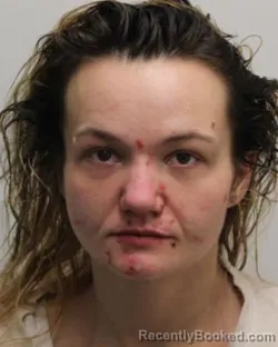 Mugshot of TYLER ELIZABETH ROSE