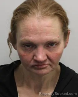 Mugshot of SHEENA R ASKOV