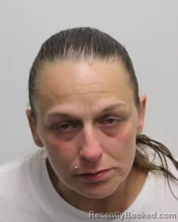 Mugshot of BRANDY L FELKER booked in Chemung County, New York on June 8, 2026