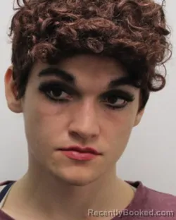 Mugshot of ROBERTO SCHULTZ