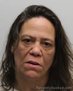 Mugshot of NANCY CASE booked in Chemung County, New York on April 21, 2026