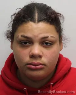 Mugshot of VICTORIA RODRIGUEZ booked in Chemung County, New York on April 22, 2026