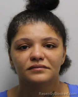 Mugshot of Ashley Elizabeth Torres booked in Chemung County, New York on September 4, 2026