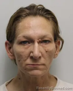 Mugshot of JENNIFER REBECCA DOANE booked in Chemung County, New York on August 2, 2026