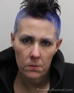 Mugshot of MICHELLE MARGARET KING