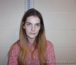 Mugshot of HEATHER ANN POLLOCK booked in Chenango County, New York on April 13, 2026