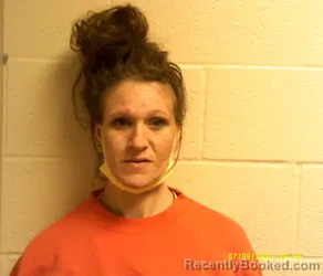 Mugshot of Brittney NICOLE PALMER booked in Chenango County, New York on June 2, 2026