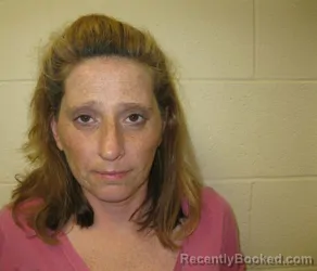 Mugshot of Heather LIN JENKINS booked in Chenango County, New York on May 4, 2026