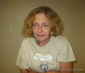 Mugshot of Christine ANN FURGISON booked in Chenango County, New York on April 2, 2026