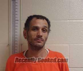 Mugshot of Leif ERIC LUNEAU