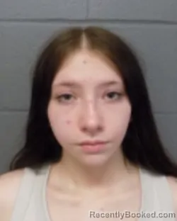 Mugshot of TENLEI C WOOD booked in Delaware County, New York on April 15, 2026