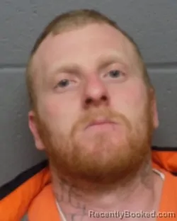 Mugshot of WILLIAM R COGSHALL