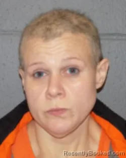 Mugshot of STEPHANIE VERMILYEA