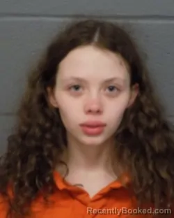 Mugshot of BREANNA RECINO