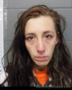 Mugshot of SUSAN DIANE PENDELTON booked in Delaware County, New York on April 7, 2026