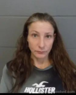 Mugshot of MELISSA A KNORR