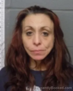 Mugshot of AMANDA S OLIVER booked in Delaware County, New York on March 24, 2026