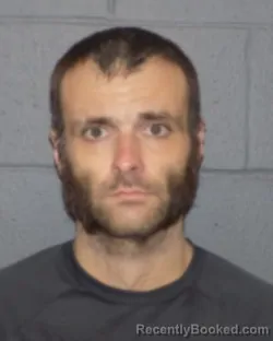 Mugshot of PANTHER R FIELDS