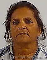 Mugshot of Francisca Lydia Skirvin booked in Calhoun County, Texas on July 11, 2026