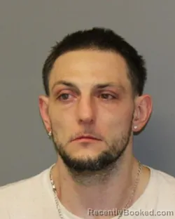 Mugshot of SHANE M LAUZON