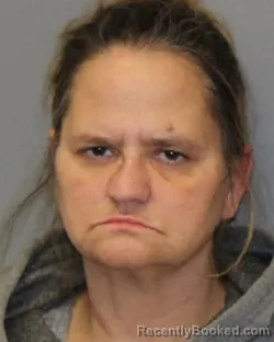 Mugshot of TINA M DEBYAH booked in Franklin County, New York on April 21, 2026