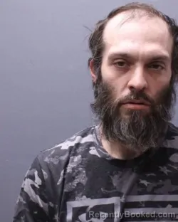 Mugshot of RAMON L APONTE