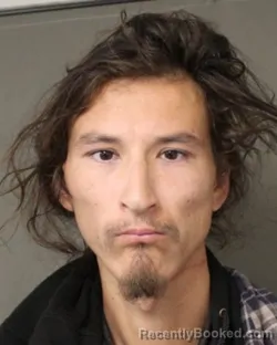 Mugshot of CLAYTON MARTIN